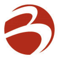 Barnett International logo