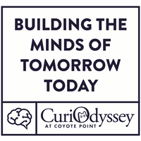 Curi Odyssey jobs