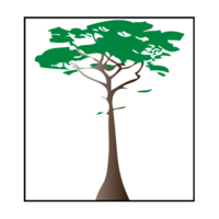 Cypress