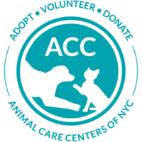 Animal Care Centers of NYC jobs