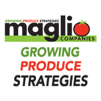 Maglio Companies jobs