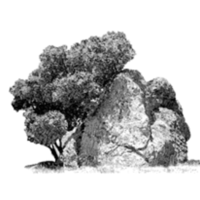 Spirit Rock Meditation Center jobs