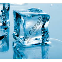 Carollo Engineers jobs