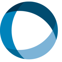IDinsight logo
