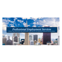 Professional Employment Services jobs