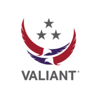 Valiant Integrated Services 