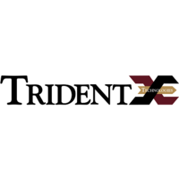 Trident Technologies jobs