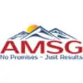 Advanced Management Strategies Group logo
