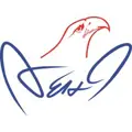 AEHI Inc logo
