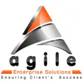 Agile Enterprise Solutions logo