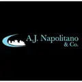 AJ NAPOLITANO & CO. logo