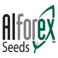 ALFOREX SEEDS LLC logo