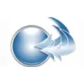 AlignOrg Solutions - Differentiation by Design logo