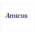 Amicus jobs