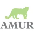 Amur Equipment Finance logo