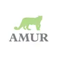 Amur Finance Company logo