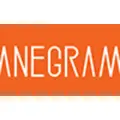 Anegram Studio, P.A. logo