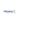 Apex Engineering Group Inc logo