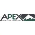 Apex Petroleum Engineering logo