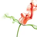 AromaSys Inc logo