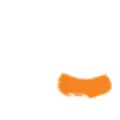 Arts In Orange logo