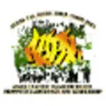 Asian Pacific Islander Youth Promoting Advocacy and Leadership logo