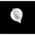 Aspen Insurance Group logo