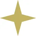Bearingstar Insurance logo
