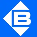 Berner International logo