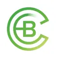 BIG Construction logo