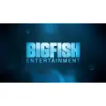 Big Fish logo