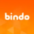 Bindo logo
