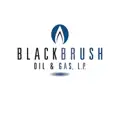 BlackBrush logo