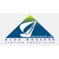 Blue Horizon Venture Consulting logo