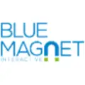 Blue Magnet Interactive logo