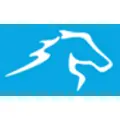 Blue Pony logo