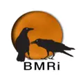BMRiLLC logo