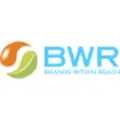 Brands Within Reach, llc (BWR) logo
