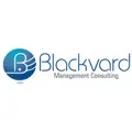 BVMC LLC logo