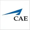 CAE Simuflite jobs