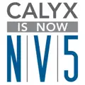 CALYX Engineers + Consultants logo