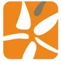 Calyx logo