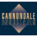 Cannondale Associates logo
