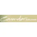 Cavender Auto Group logo