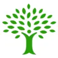 Chicago DBT Institute, The Center for Mindfulness and Behavior Therapy logo