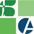 Clover Global Solutions logo