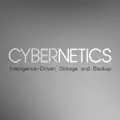 Cybernetics Intelligence-Driven Storage  logo