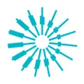 Davis Vision logo
