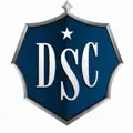 Desert Star Construction logo