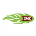 Design Monsters logo